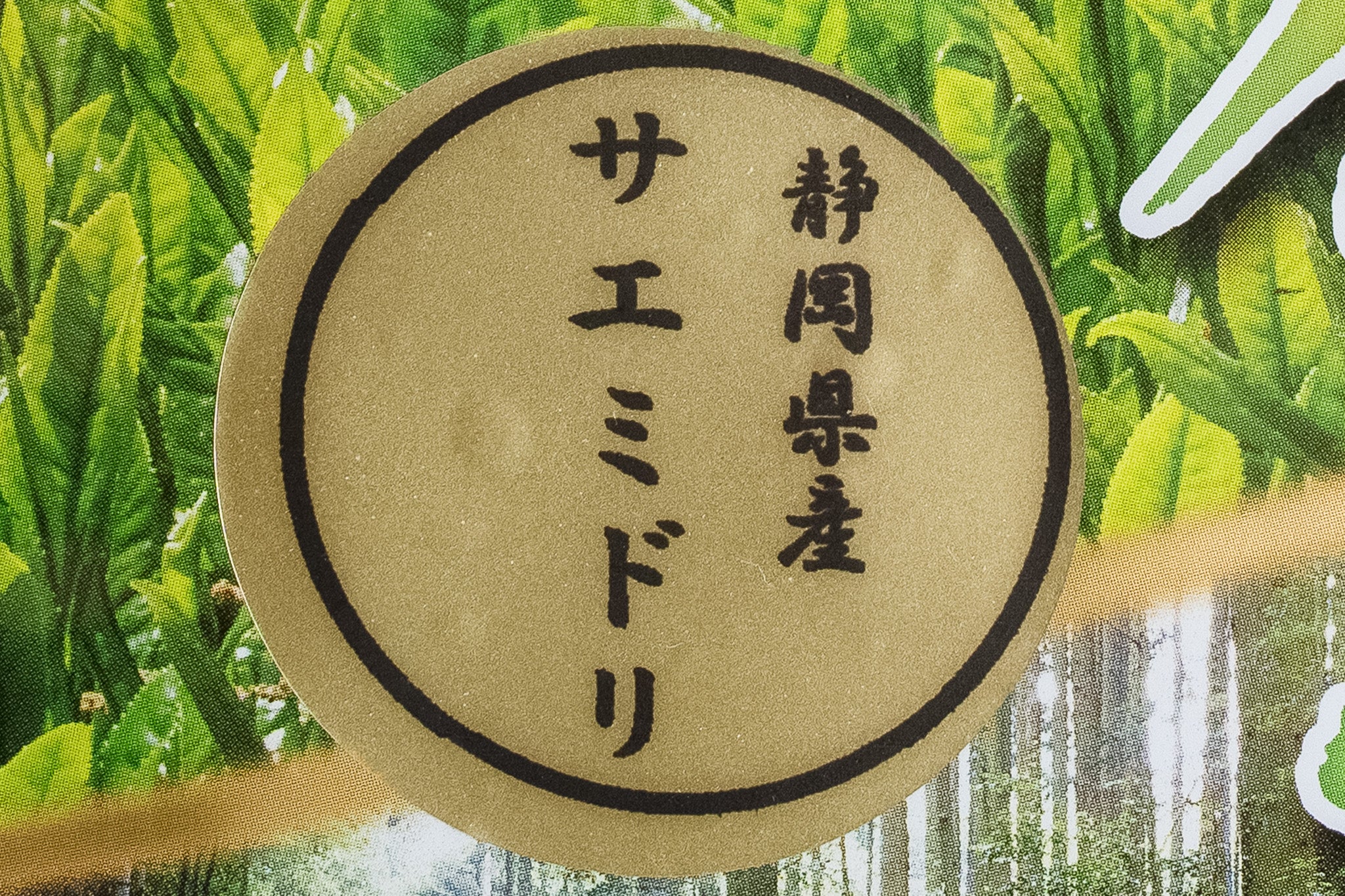 [限定100本] 静岡県産 さえみどり